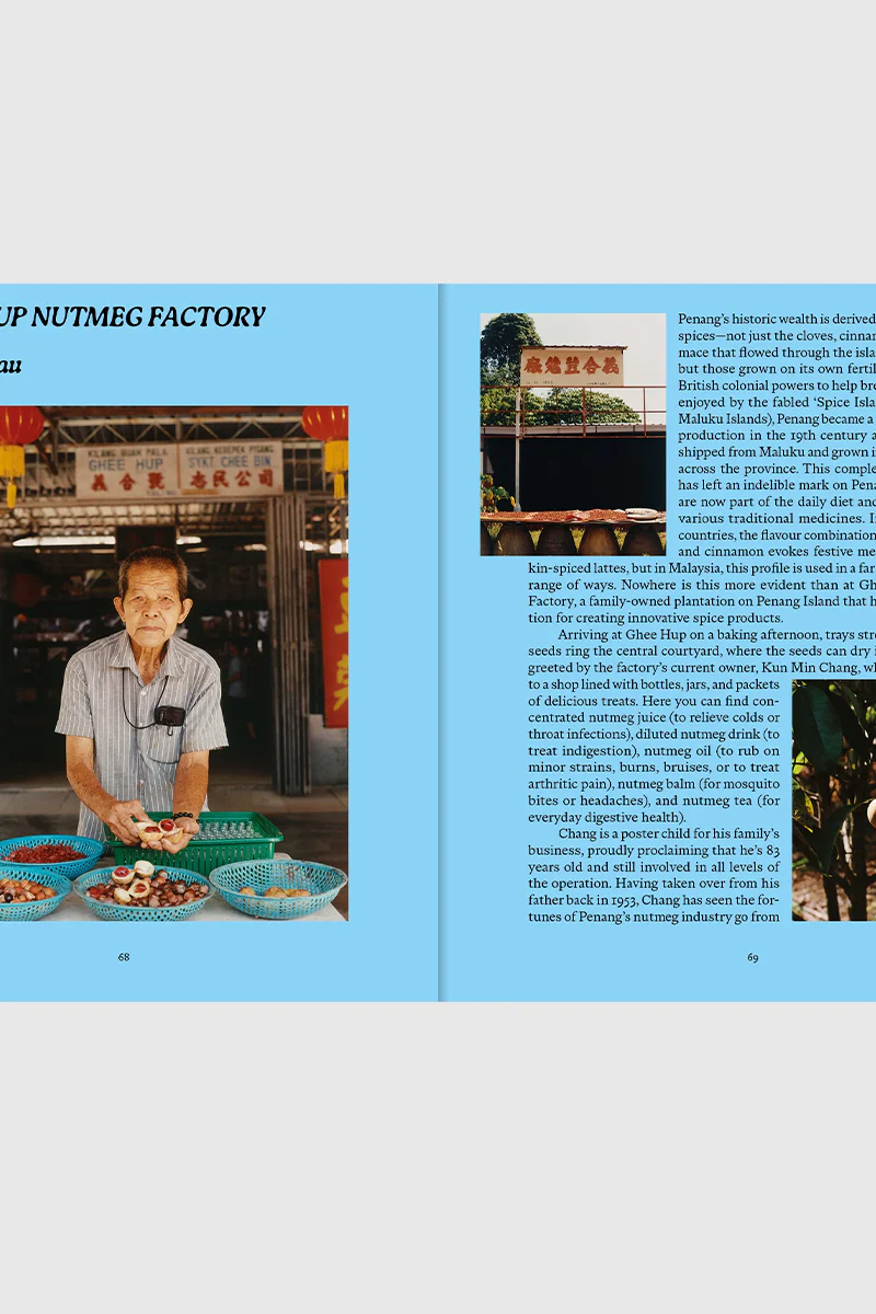 PENANG: Recipes & Wanderings Around an Island in Malaysia - Image 4